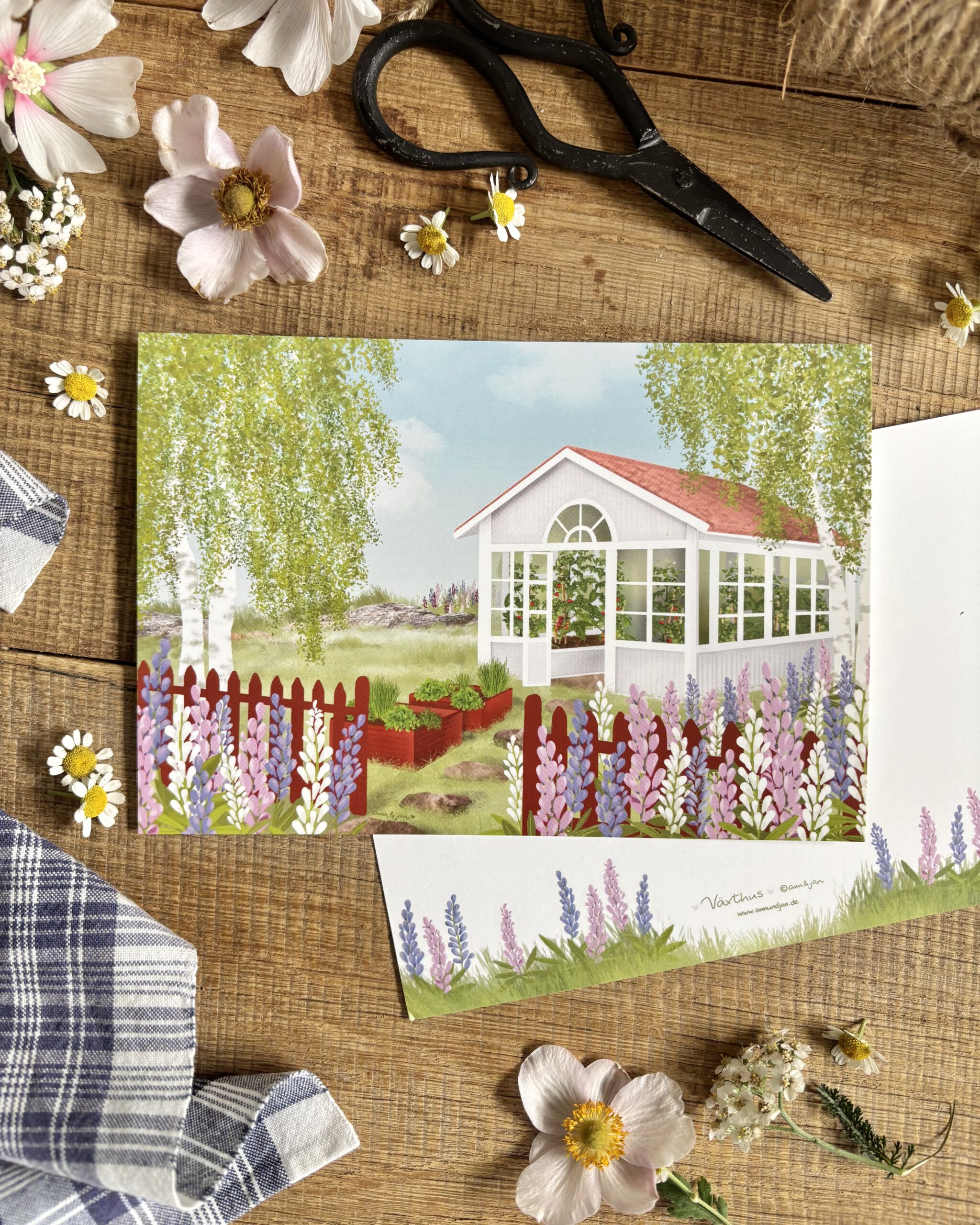 Handillustrierte große Postkarte Växthus schwedisches Gewächshaus Gemüsebeete Birken Lupinen von Ann und Jan