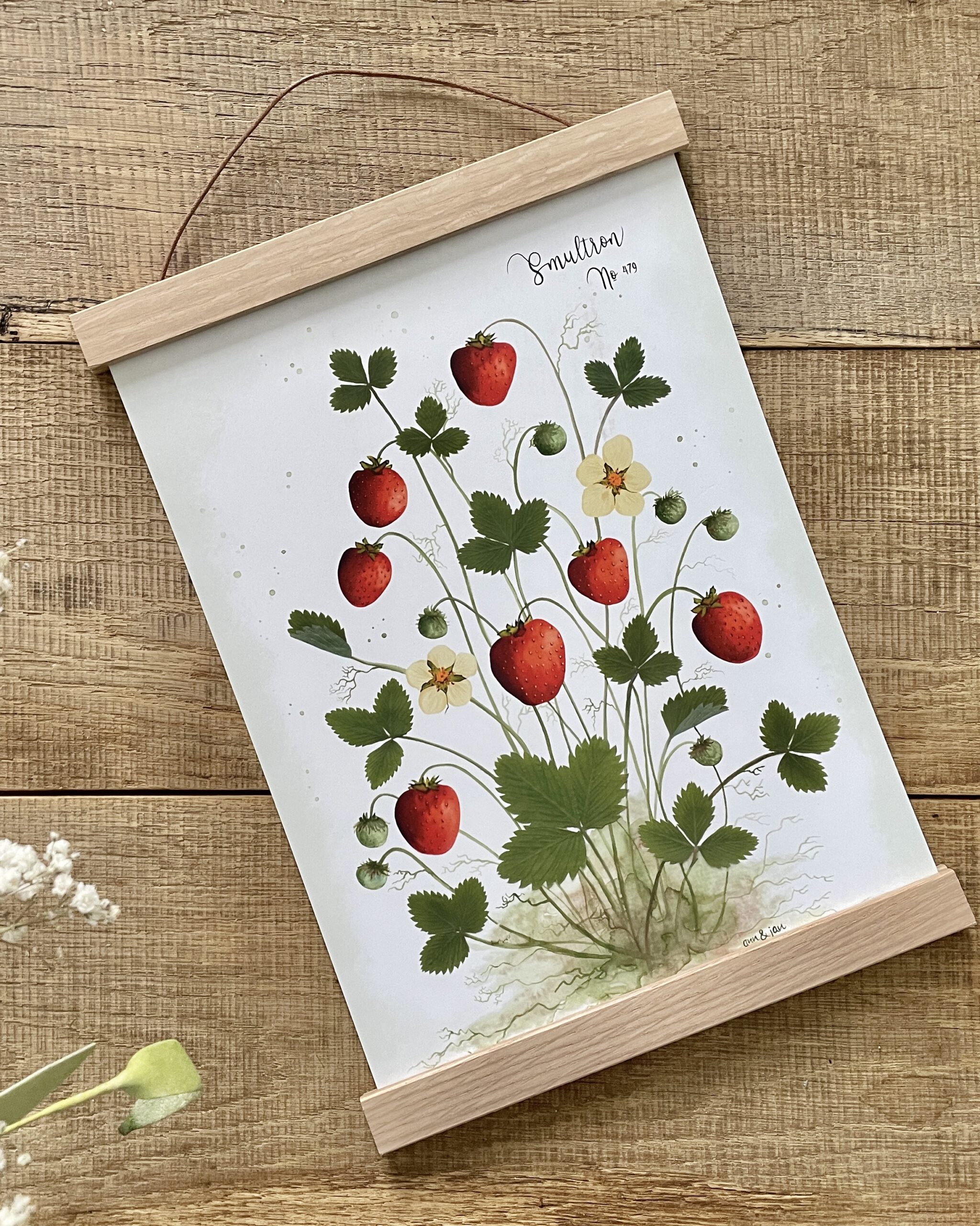 Kunstdruck „Smultron No. 479" – Erdbeeren botanisch DIN A4 – Bild 4