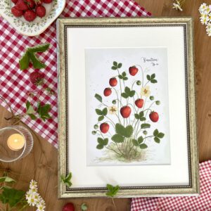 Kunstdruck Smultron Walderdbeeren von Ann & Jan im Bilderrahmen