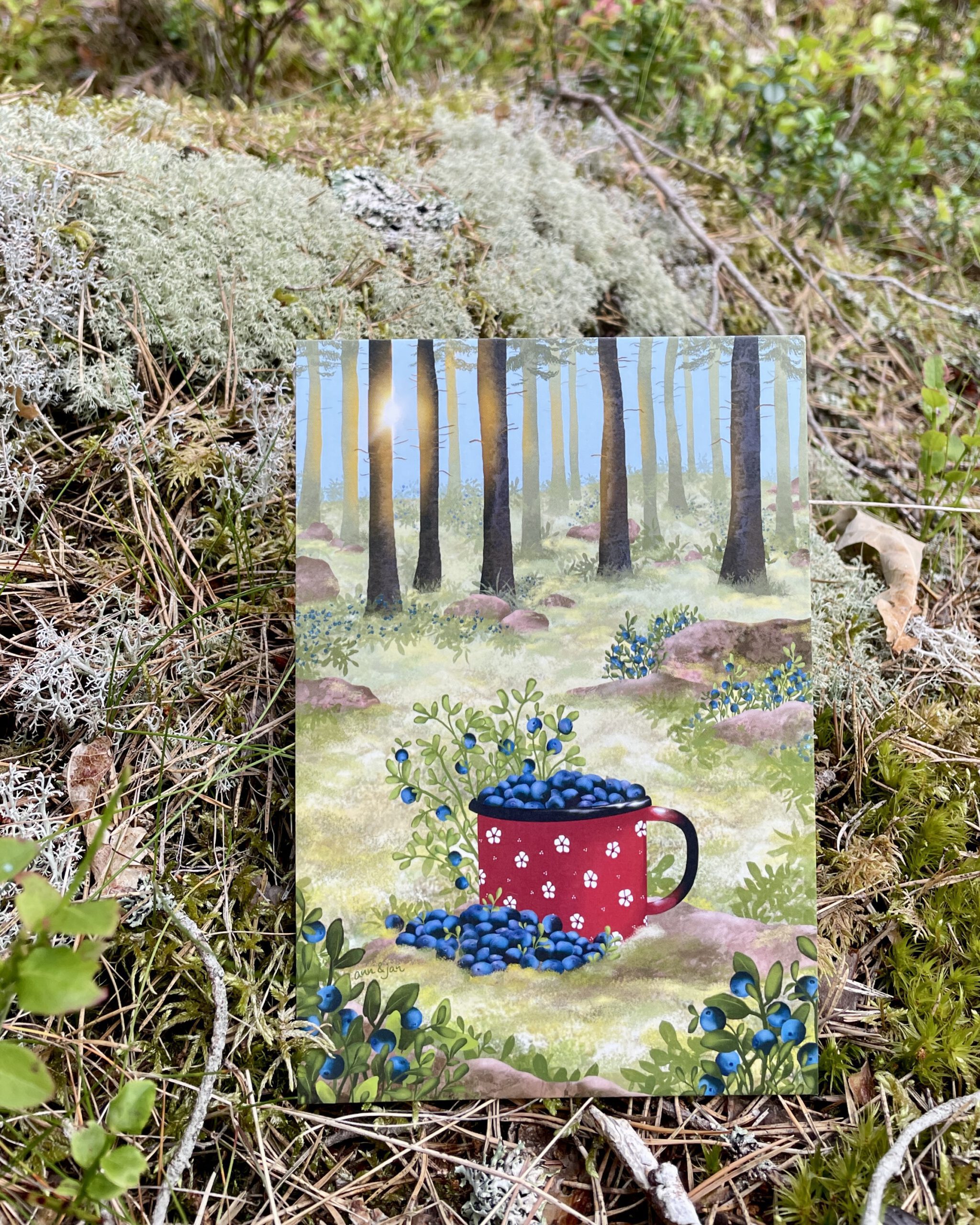 Handillustrierte große Postkarte Blaubeerwald lichter Wald Felsen Blaubeerbüsche Tasse Blaubeeren von Ann und Jan