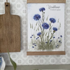 Posterleisten