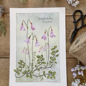 Handillustrierter Kunstdruck Moosglöckchen Linnaea borealis botanisch matt folienkaschiert von Ann und Jan