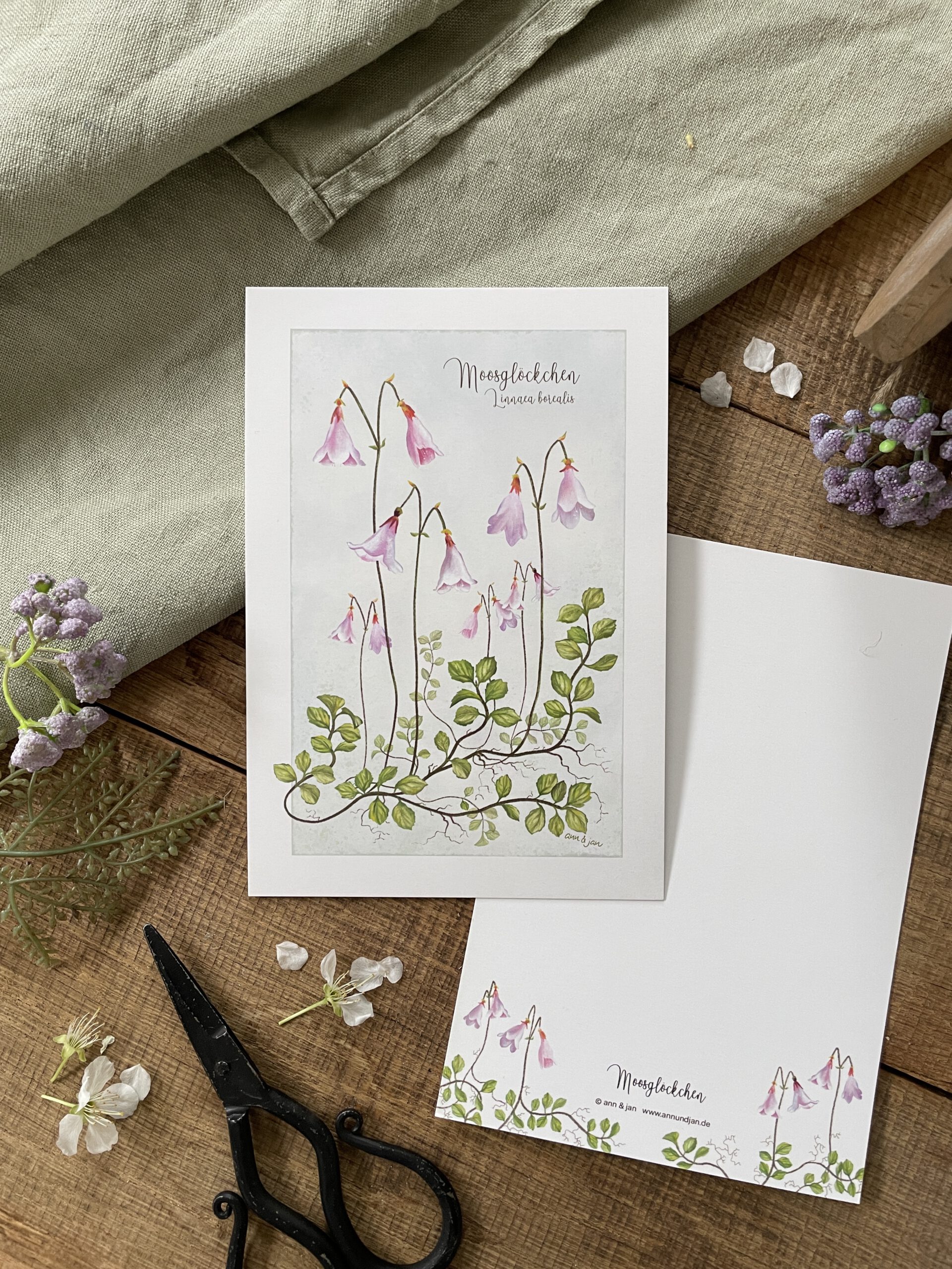 Handillustrierte große botanische Postkarte Moosglöckchen Linnaea borealis von Ann und Jan