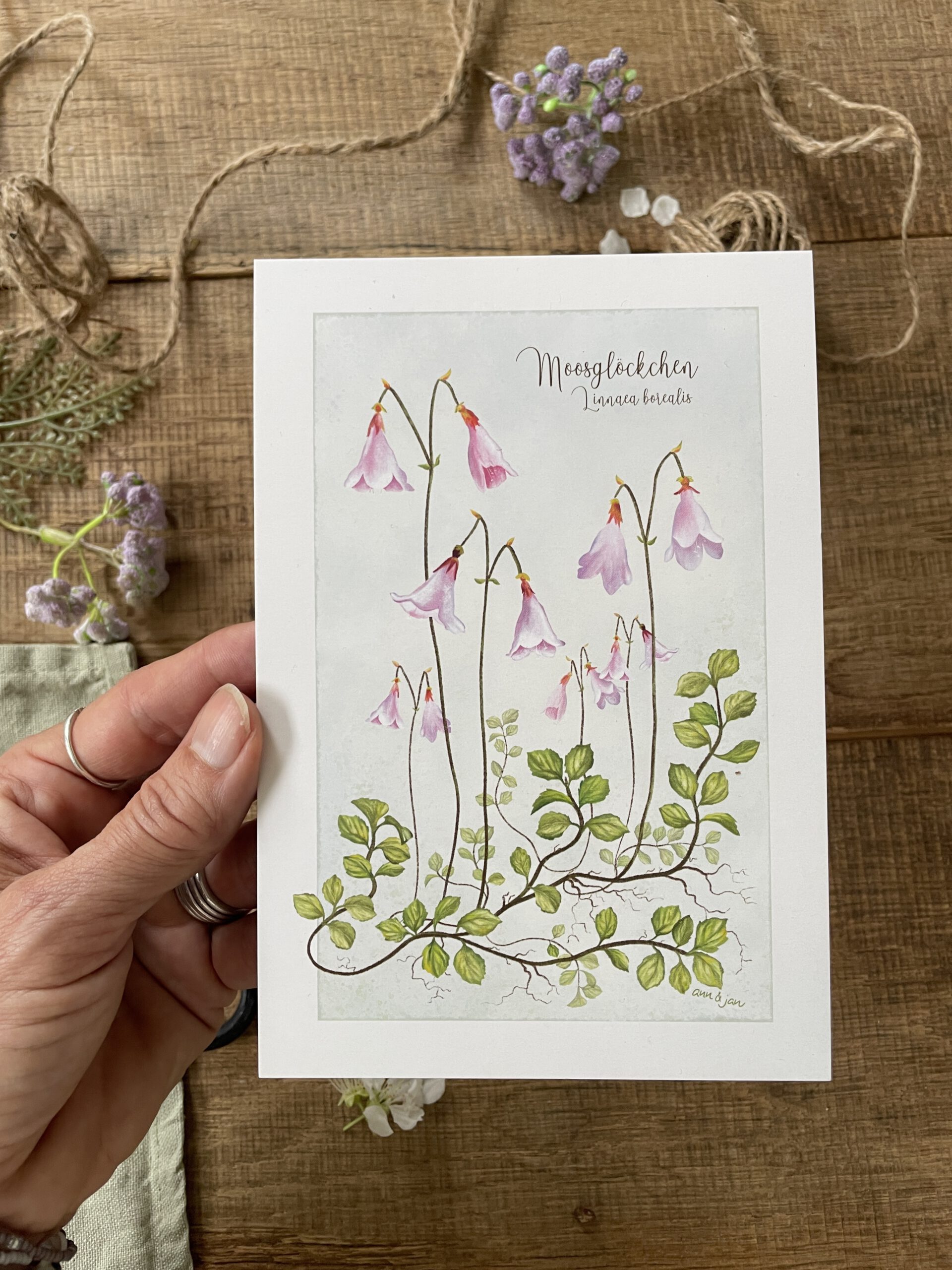 Postkarte Moosglöckchen Detailansicht botanische Illustration Linnaea borealis handillustriert Ann und Jan