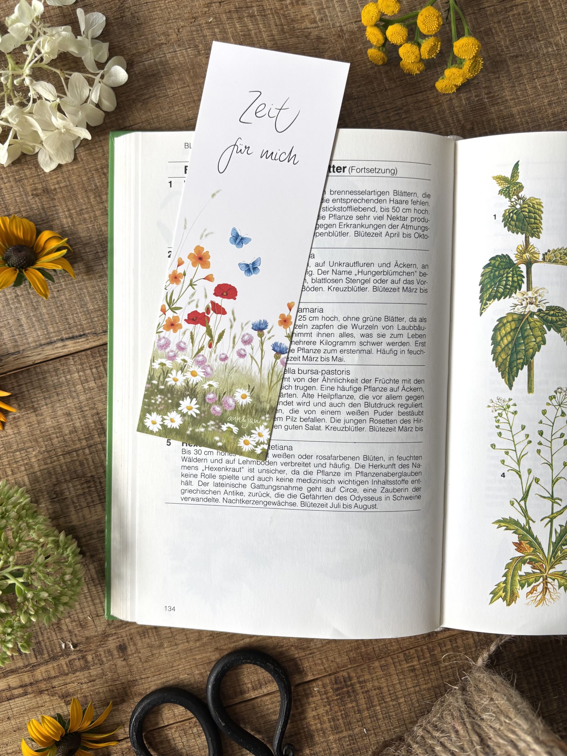 Handillustriertes Lesezeichen Zeit für mich Blumenwiese Mohnblumen Schmetterlinge von Ann und Jan