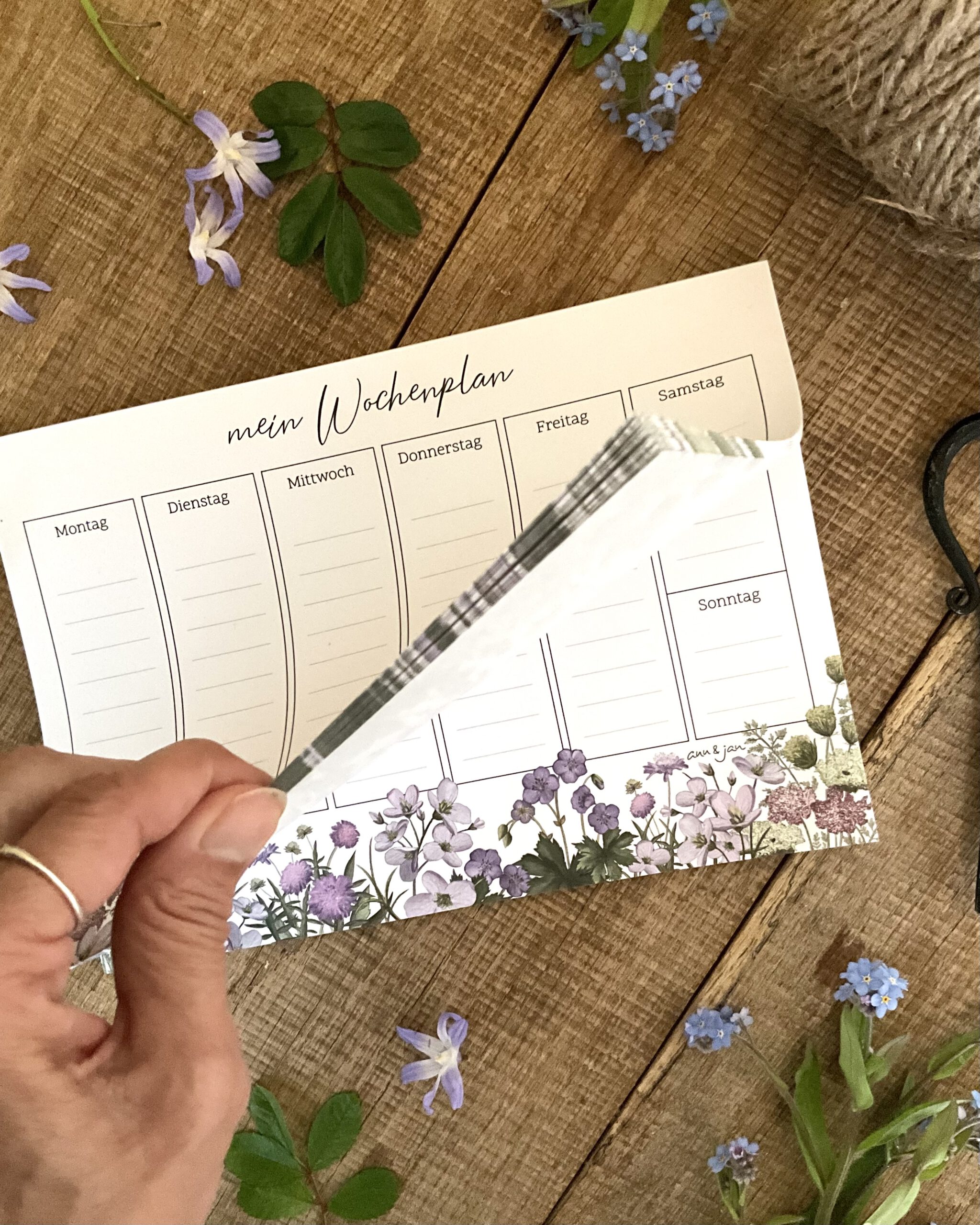Wochenplaner Flora Detailansicht Wildblumen Storchschnabel Scabiose handillustriert Ann und Jan