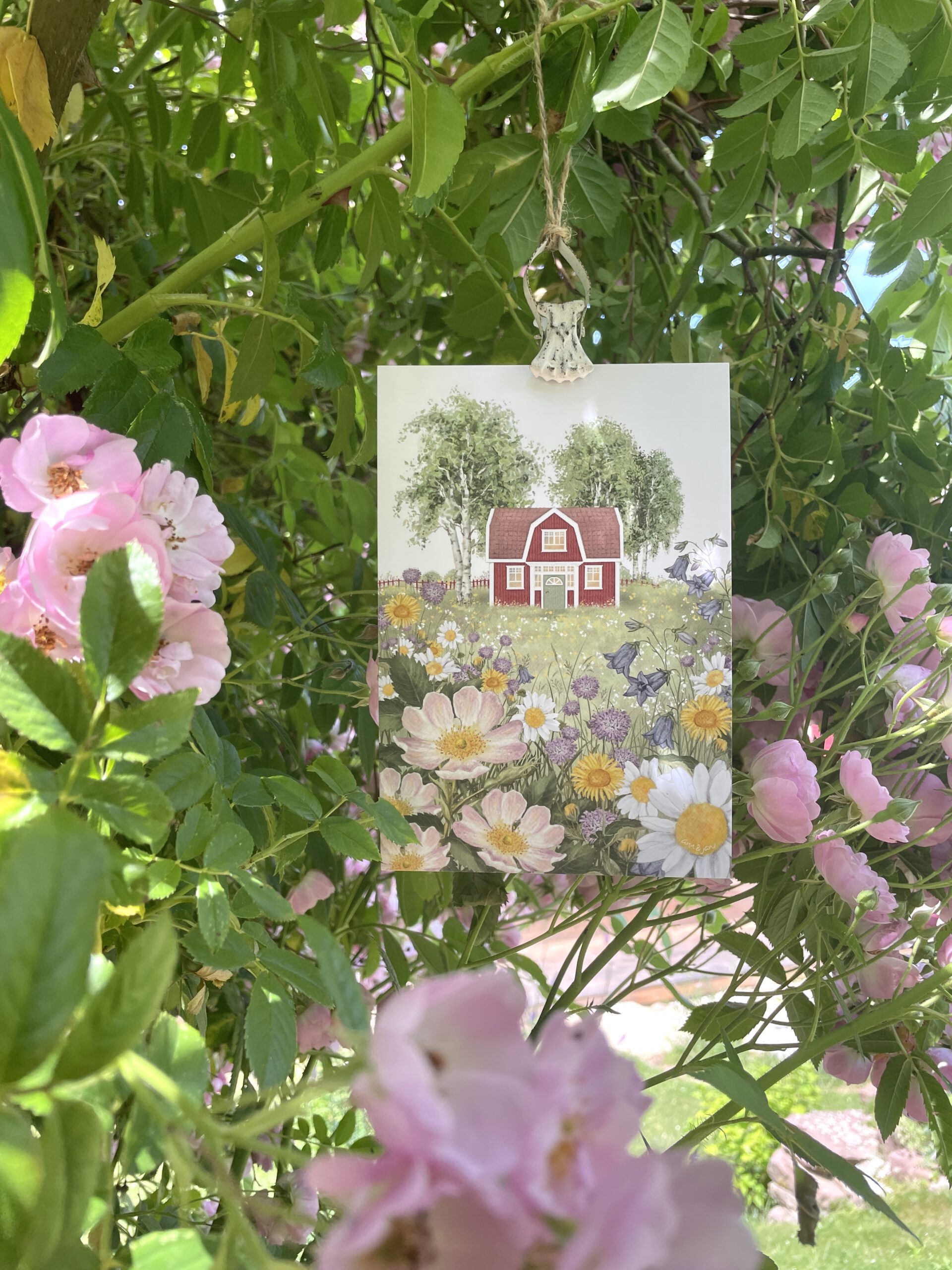 Postkarte Sommerwiese mit Schwedenhaus