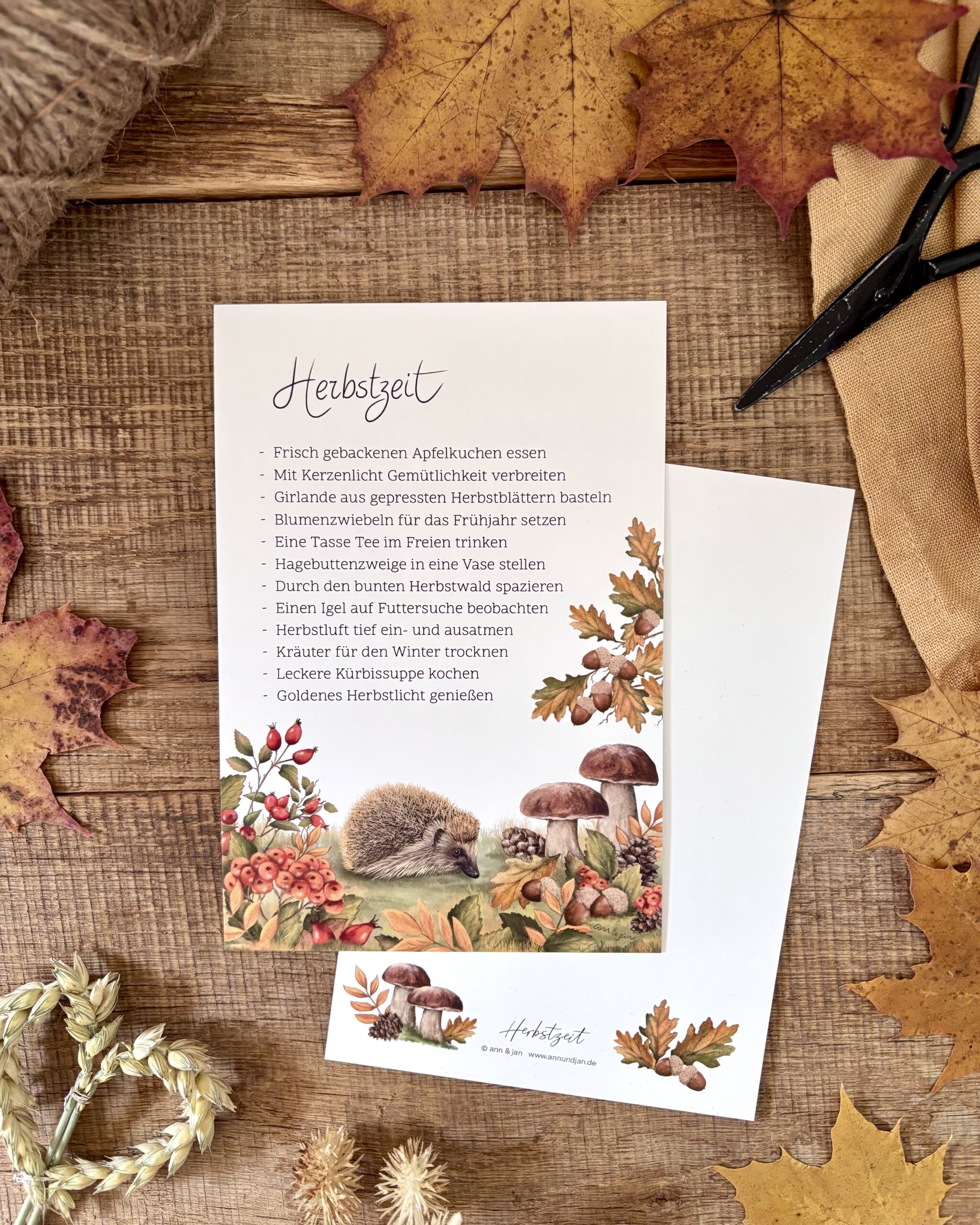 Große Postkarte Herbstzeit. Herbstmomente. Glücksmomente. Igel im Herbstwald, Vorderseite und beschreibbare Rückseite.